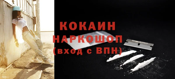 прущие грибы Сатка
