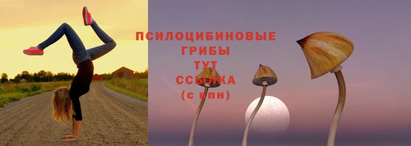 прущие грибы Сатка