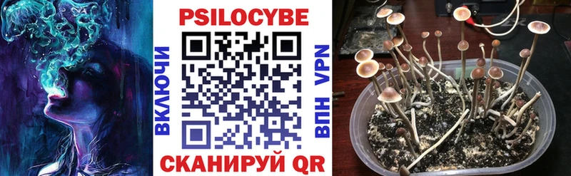 Псилоцибиновые грибы Psilocybe  продажа наркотиков  Ладушкин 